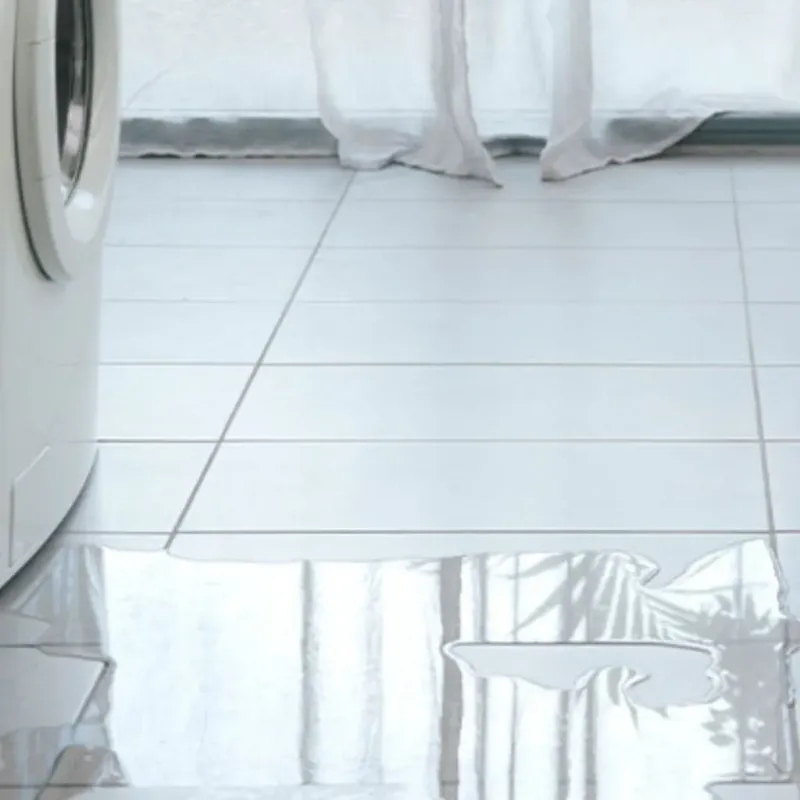 Appliance Leak Cleanup in Macon, GA